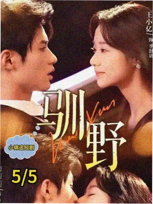 深夜观影指南资料室工作台与编号卡片整理示意